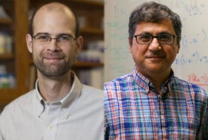 Drake, Rohani among 6 UGA faculty members named AAAS Fellows