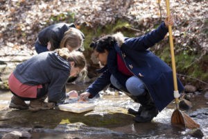 Ecology students use botanical garden as living lab
