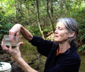 Beneath the surface: Mary Freeman studies fish populations in rivers and streams