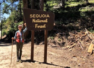 A summer among the sequoias