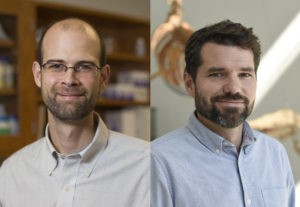 UGA professor, alumnus are 2020 ESA Fellows