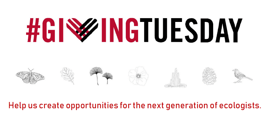 #GivingTuesday above line drawings of a butterfly, oak leaf, ginkgo leaves, flower, fountain, pinecone, and bird.