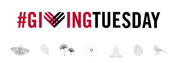 Giving Tuesday graphic featuring line drawings of a butterfly, oak leaf, ginkgo leaf, flower, fountain, pine cone, and bird .