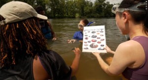 Society for Freshwater Science’s Emerge program releases video highlighting participant experiences