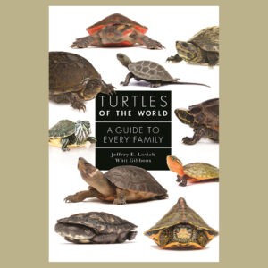 Alumni News: Lovich and Gibbons publish Turtles of the World