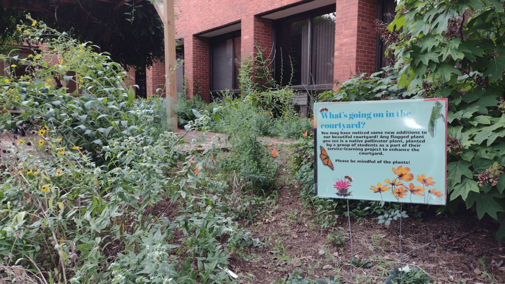 Ecology courtyard pollinator garden with interpretive sign.