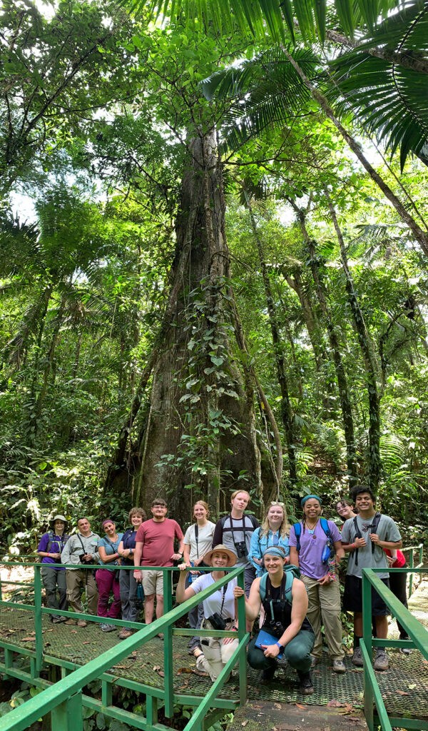 class in front of massive tree