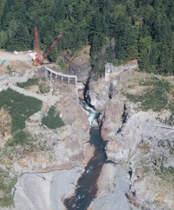 Scientists develop tool to predict dam removal costs by analyzing 55 years of past removals