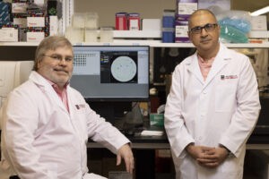 Magnifying impact: UGA seeding formation of broad research teams