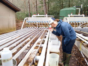 Cummins explores the effects of temperature gradients on freshwater ecosystems in the Southeast 