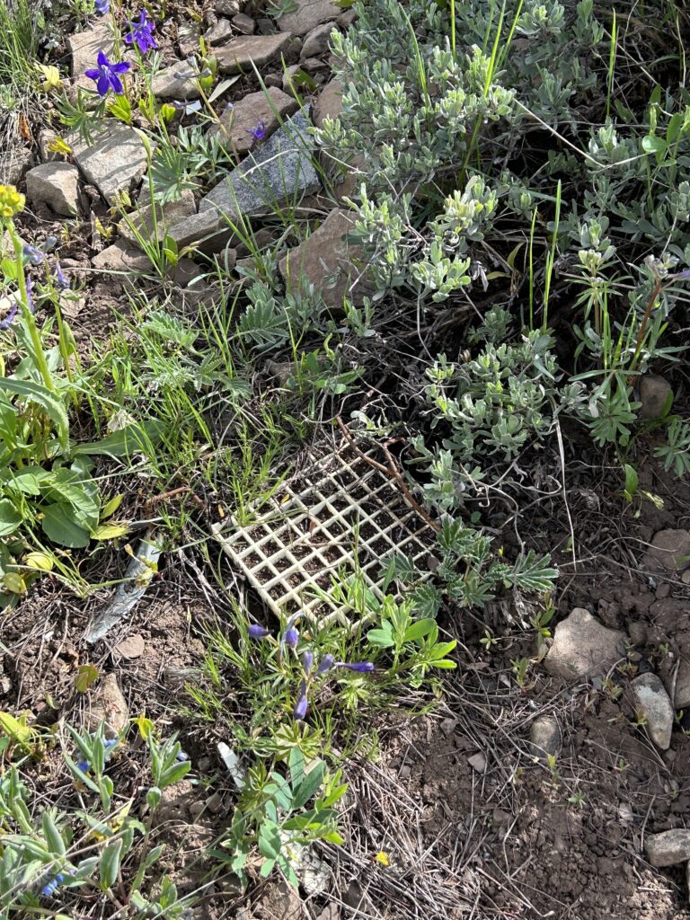 Seed grid