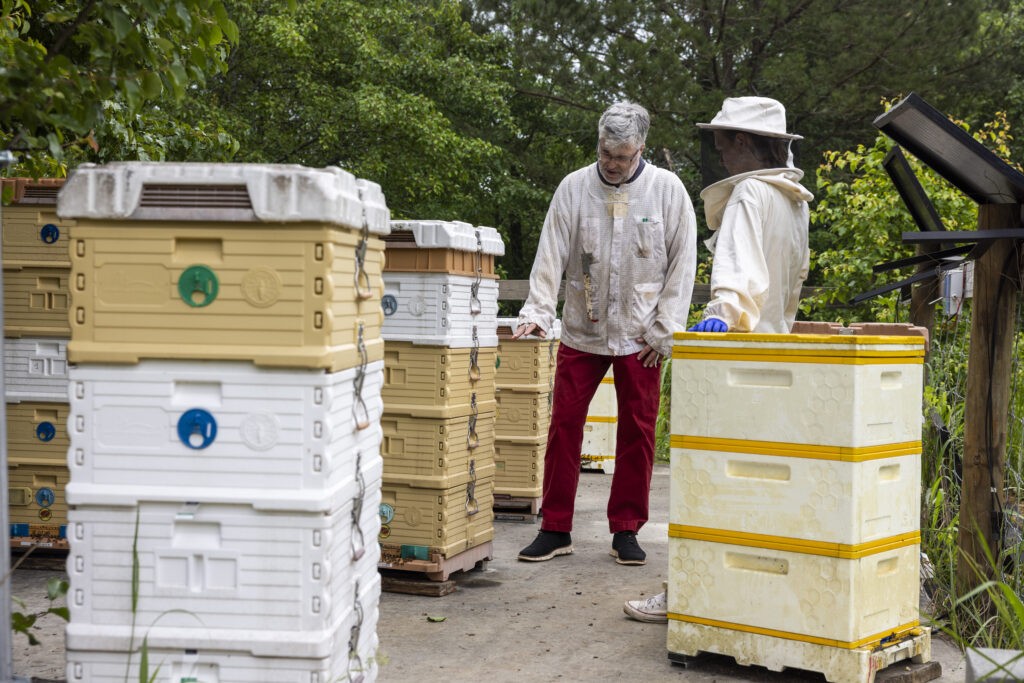 20250501 vmbee dmk marcm 001.dng