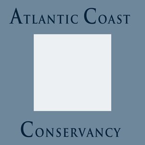 46a0554be5c2ec9bdb68d9fe66833efa acc