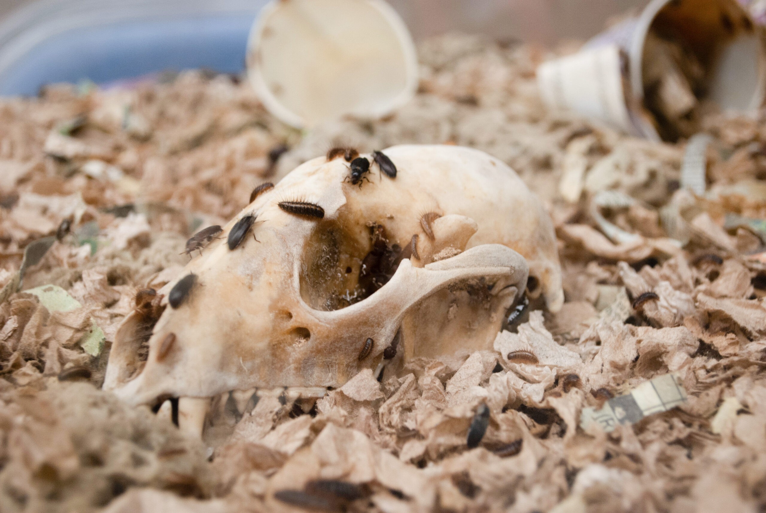 EcoReach gets kids (and their parents) to connect with science