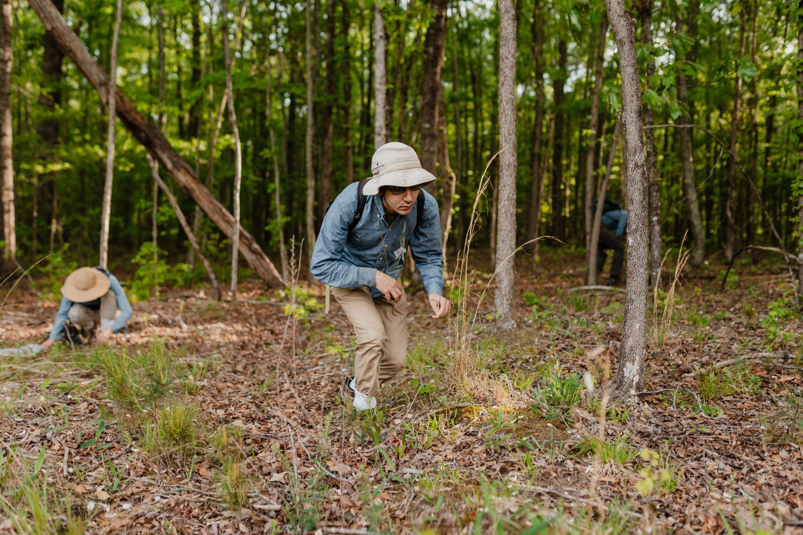BioBlitz brings volunteers to assess biodiversity on Rowen site
