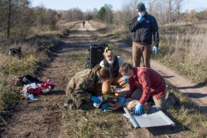 Research reveals how Chornobyl wolves may be adapting to chronic radiation exposure