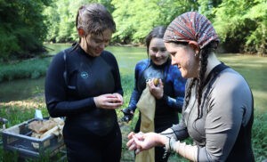 Restoring mussels to their home in North Georgia’s Conasauga River