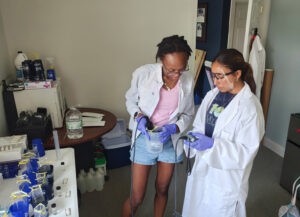 Ecology students dive into coastal internship